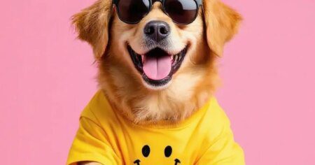 Huyền Thoại Về Việc Đuổi Theo Hạnh Phúc