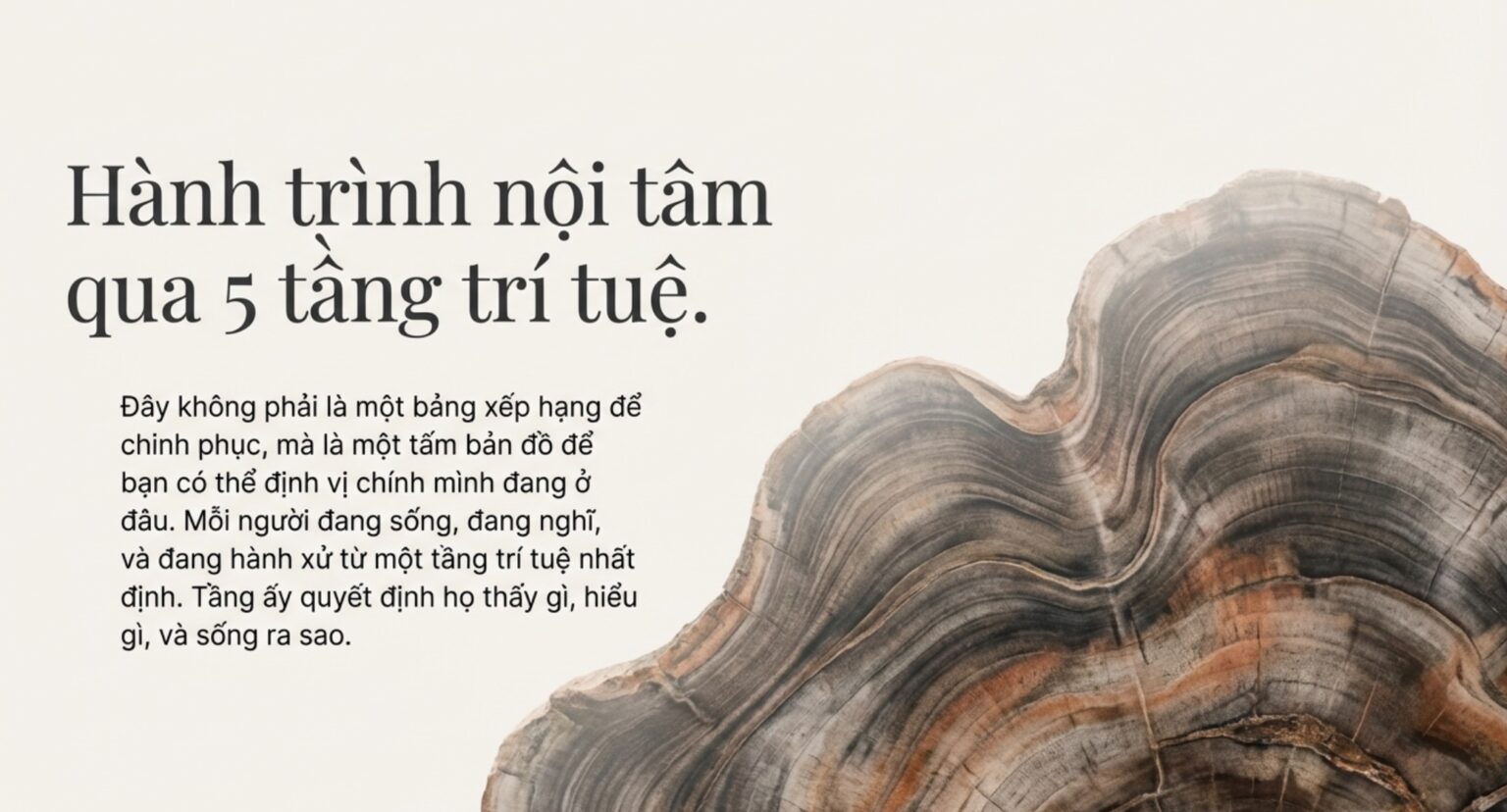Hành Trình Qua 5 Tầng Trí Tuệ: Từ “Biết” Đến “Thấy”